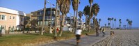 People riding bicycles near a beach, Venice Beach, City of Los Angeles, California, USA Fine Art Print