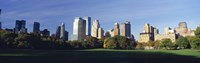 Skyscrapers in a city, Central Park, Manhattan, New York City, New York State, USA 2010 by Panoramic Images, 2010 - 36" x 12"