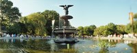 Fountain in a park, Central Park, Manhattan, New York City, New York State, USA Fine Art Print