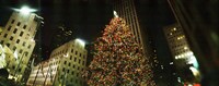 Christmas tree lit up at night, Rockefeller Center, Manhattan, New York State Fine Art Print