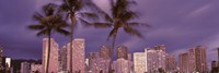 Buildings in a city, Honolulu, Oahu, Honolulu County, Hawaii, USA 2010 Fine Art Print