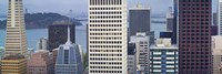 Skyscrapers in the financial district with the bay bridge in the background, San Francisco, California, USA 2011 Fine Art Print