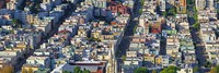 Buildings Viewed from the Coit tower of Russian Hill, San Francisco Fine Art Print