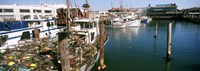 Fishing boats at a dock, Fisherman's Wharf, San Francisco, California, USA Fine Art Print