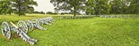 Cannons in a park, Valley Forge National Historic Park, Philadelphia, Pennsylvania, USA by Panoramic Images - various sizes