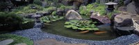 Japanese Garden, University of California, Los Angeles Fine Art Print