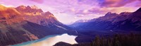 Peyto Lake, Alberta, Canada Fine Art Print