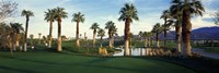 Palm trees in a golf course, Desert Springs Golf Course, Palm Springs, Riverside County, California, USA Fine Art Print