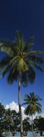 USA, US Virgin Islands, Saint Thomas by Panoramic Images - 9" x 27"