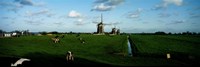 Windmills, Netherlands Fine Art Print