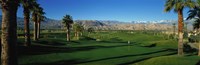 Golf Course, Desert Springs, California, USA Fine Art Print