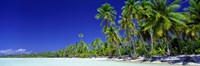 Beach With Palm Trees, Bora Bora, Tahiti Fine Art Print