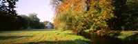 Park Sans-Souci w/ teahouse in Autumn Potsdam Germany Fine Art Print