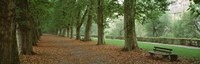 City Park w/ bench in autumn Tubingen Germany Fine Art Print