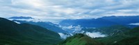 China, Sichuan, Cloud Forest Fine Art Print