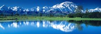 Mt McKinley and Wonder Lake Denali National Park AK Framed Print