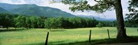Meadow Surrounded By Barbed Wire Fence, Cades Cove, Great Smoky Mountains National Park, Tennessee, USA Fine Art Print