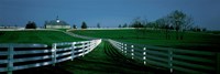 USA Kentucky Lexington Horse Farm