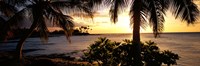 Kohala Coast, Hawaii, USA Fine Art Print