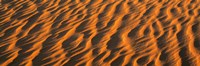 Wind Blown Sand TX USA