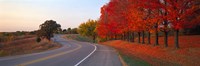 Fall Road IL Fine Art Print