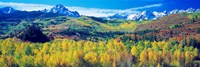 San Juan Mountains, Colorado, USA Fine Art Print