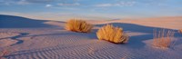 USA, New Mexico, White Sands, sunset Fine Art Print