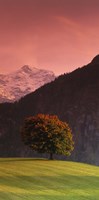 Switzerland, Alps Fine Art Print