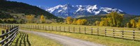 Fence along a road, Sneffels Range, Colorado, USA Fine Art Print