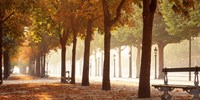 France, Paris, Champs Elysees Fine Art Print