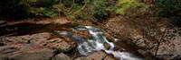White Water The Great Smoky Mountains TN USA Fine Art Print