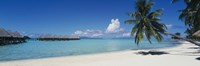 Palm Tree On The Beach, Moana Beach, Bora Bora, Tahiti, French Polynesia Fine Art Print