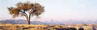 Tree in a field with a mountain range in the background, Debre Damo, Tigray, Ethiopia by Panoramic Images - 27" x 9"