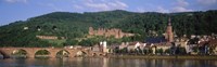 Germany, Heidelberg, Neckar River Fine Art Print