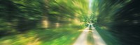 Road, Greenery, Trees, Germany Fine Art Print