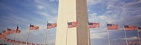 Washington Monument Washington and flags DC by Panoramic Images - 27" x 9"