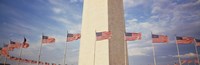 Washington Monument Washington and flags DC Fine Art Print