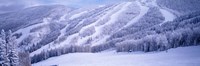 Mountains, Snow, Steamboat Springs, Colorado, USA Fine Art Print