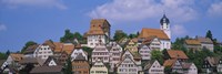 Buildings on a hill, Altensteig, Black Forest, Germany Fine Art Print