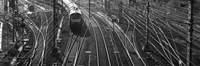 High angle view of a train on railroad track in a shunting yard, Germany Fine Art Print