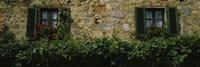 Flowers on a window, Monteriggioni, Tuscany, Italy Fine Art Print