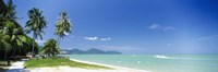 Palm trees on the beach, Penang State, Malaysia by Panoramic Images - 27" x 9"