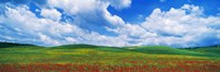Open Field, Hill, Clouds, Blue Sky, Tuscany, Italy Fine Art Print