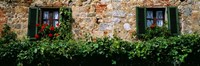 Windows, Monteriggioni, Tuscany, Italy Fine Art Print