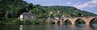 Neckar River, Heidelberg, Baden-Wurttemberg, Germany Fine Art Print
