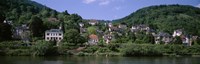 Houses on a hillside, Neckar River, Heidelberg, Baden-Wurttemberg, Germany Fine Art Print