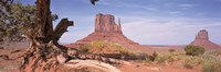 Close-Up Of A Gnarled Tree With West And East Mitten, Monument Valley, Arizona, USA, Fine Art Print