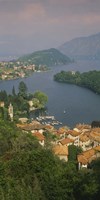 High angle view of houses at the waterfront, Sala Comacina, Lake Como, Italy Fine Art Print