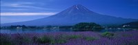 Mount Fuji Japan Fine Art Print