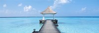 Beach & Pier The Maldives Fine Art Print